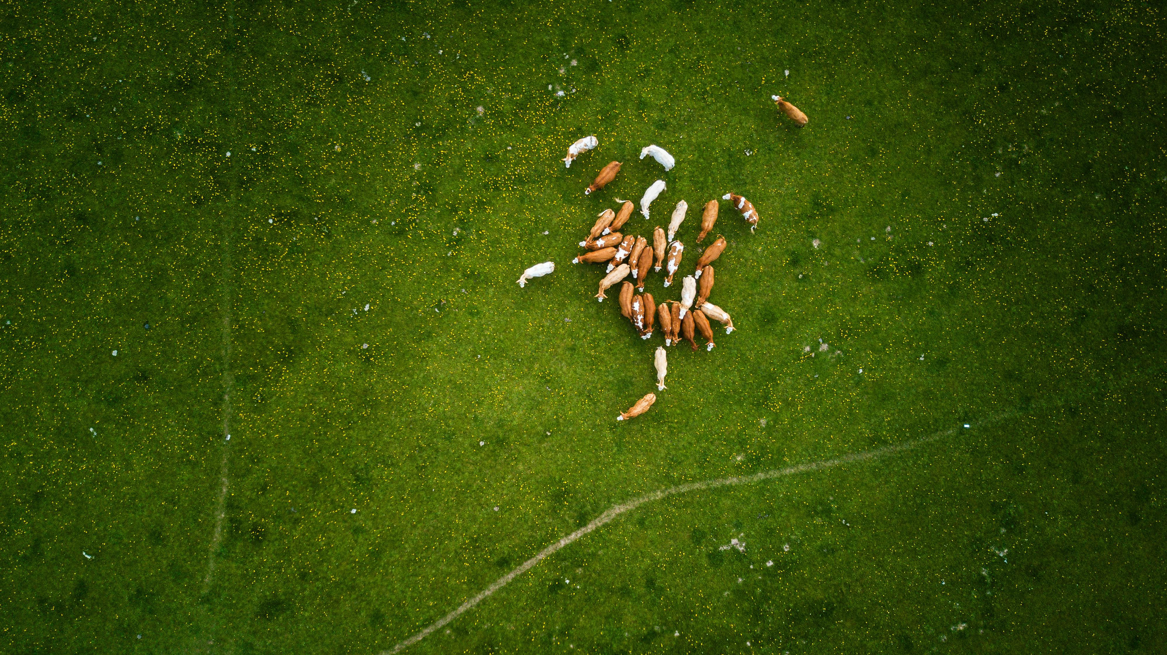 Campo aéreo